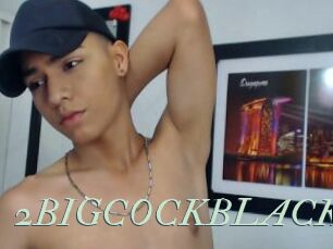 2BIGCOCKBLACKS