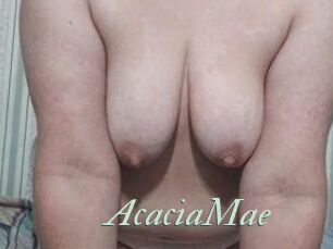 AcaciaMae