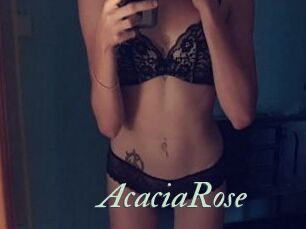 AcaciaRose