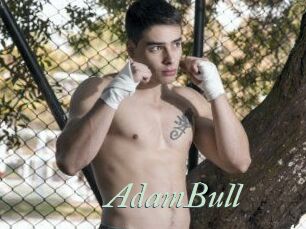 AdamBull