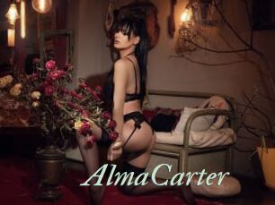 AlmaCarter