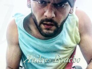 Andres_Bracho