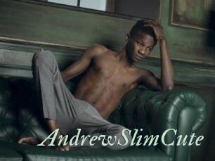 AndrewSlimCute