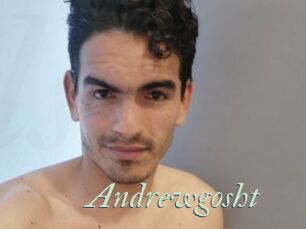 Andrewgosht