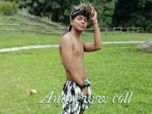Andreww_coll