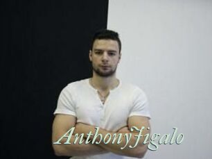 AnthonyJigalo