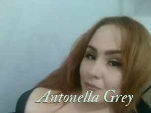 Antonella_Grey