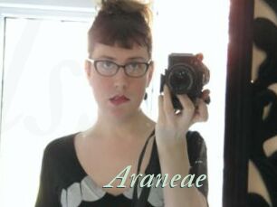 Araneae