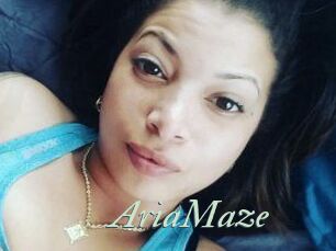 Aria_Maze