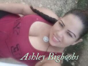 Ashley_Bigboobs