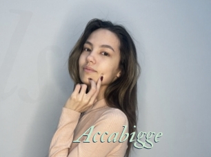Accabigge