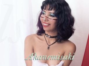 Akanemisaki