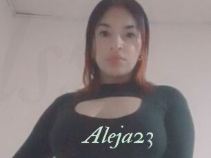 Aleja23