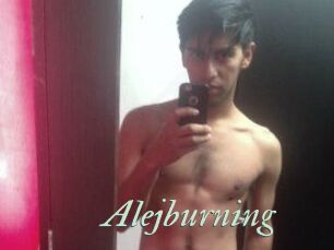 Alejburning