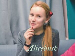 Alicebush