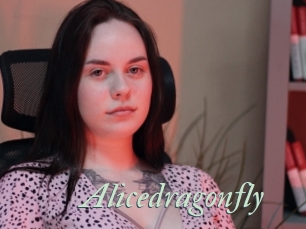 Alicedragonfly