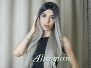 Alicequin
