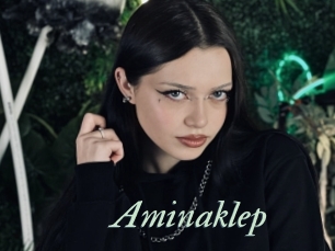 Aminaklep