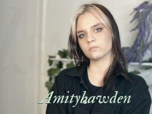 Amitybawden