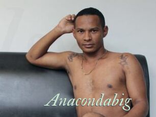 Anacondabig