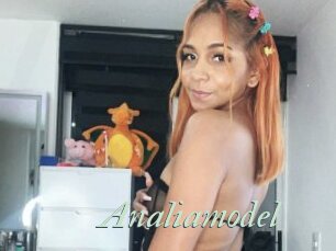 Analiamodel