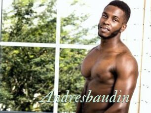 Andresbaudin