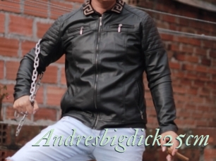 Andresbigdick25cm