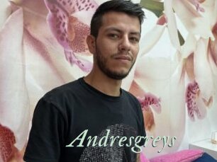 Andresgreys