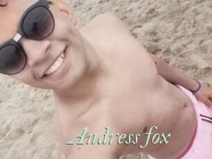Andress_fox