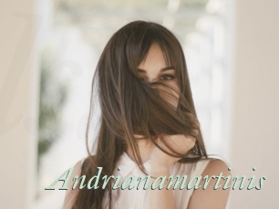 Andrianamartinis