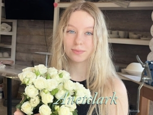 Anetclark