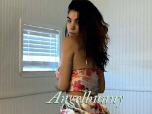 Angelbunny