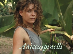 Aniccaspinelli