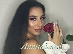 Annitadavid