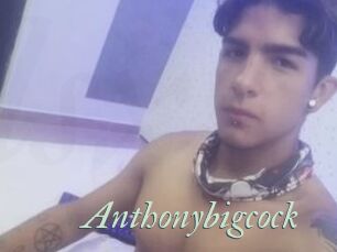 Anthonybigcock
