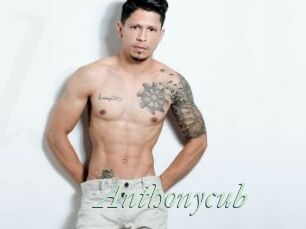 Anthonycub