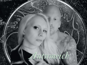Antnmeich