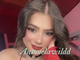 Antonelawildd