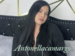 Antonellacamargo