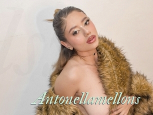 Antonellamellons