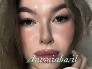 Antoniabasil