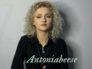 Antoniabeese