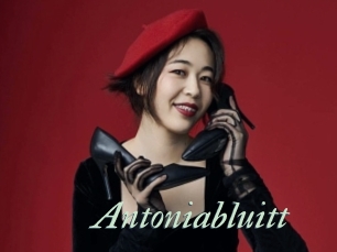 Antoniabluitt