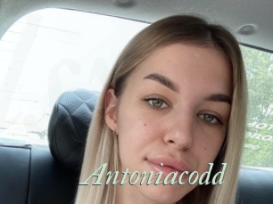 Antoniacodd