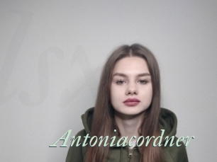 Antoniacordner