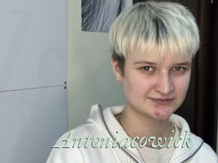 Antoniacowick