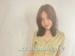 Antoniadowey