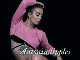 Antonianipples