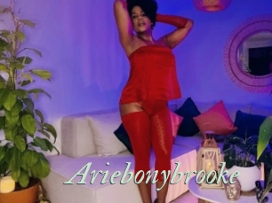 Ariebonybrooke