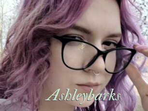Ashleybarks